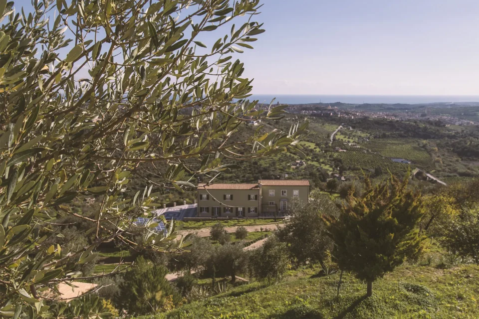 La tenuta immersa nei nostri campi di ulivi